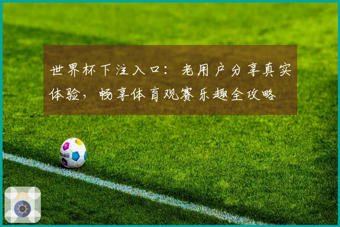 世界杯下注入口：老用户分享真实体验，畅享体育观赛乐趣全攻略