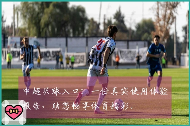 中超买球入口：一份真实使用体验报告，助您畅享体育精彩。
