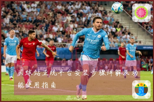 买球站正规平台安装步骤详解及功能使用指南