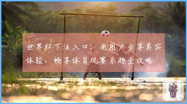 世界杯下注入口：老用户分享真实体验，畅享体育观赛乐趣全攻略
