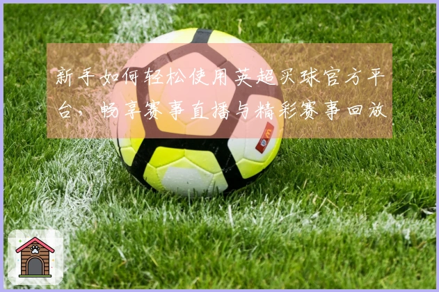 新手如何轻松使用英超买球官方平台，畅享赛事直播与精彩赛事回放