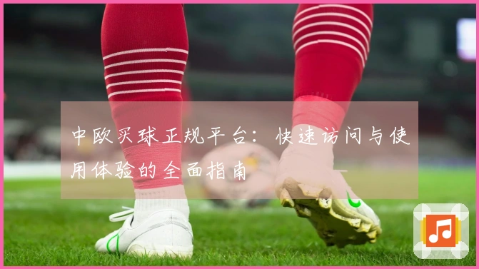 中欧买球正规平台：快速访问与使用体验的全面指南