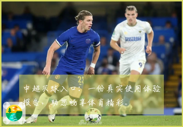 中超买球入口：一份真实使用体验报告，助您畅享体育精彩。