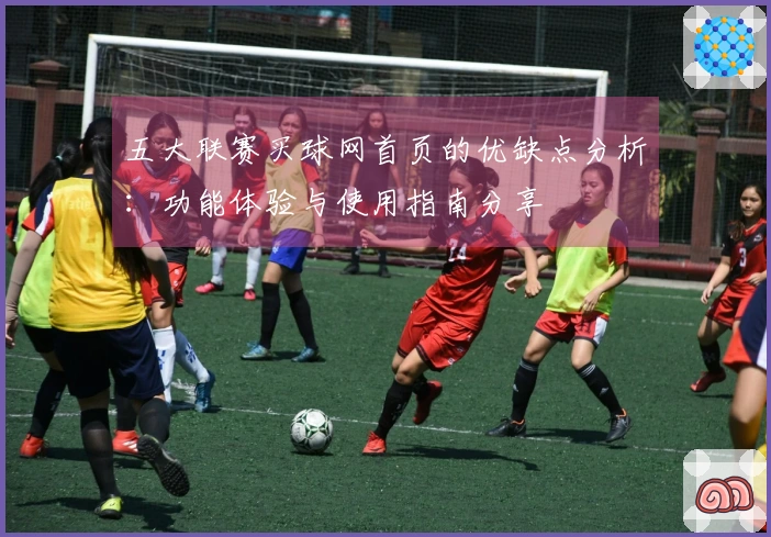 五大联赛买球网首页的优缺点分析：功能体验与使用指南分享